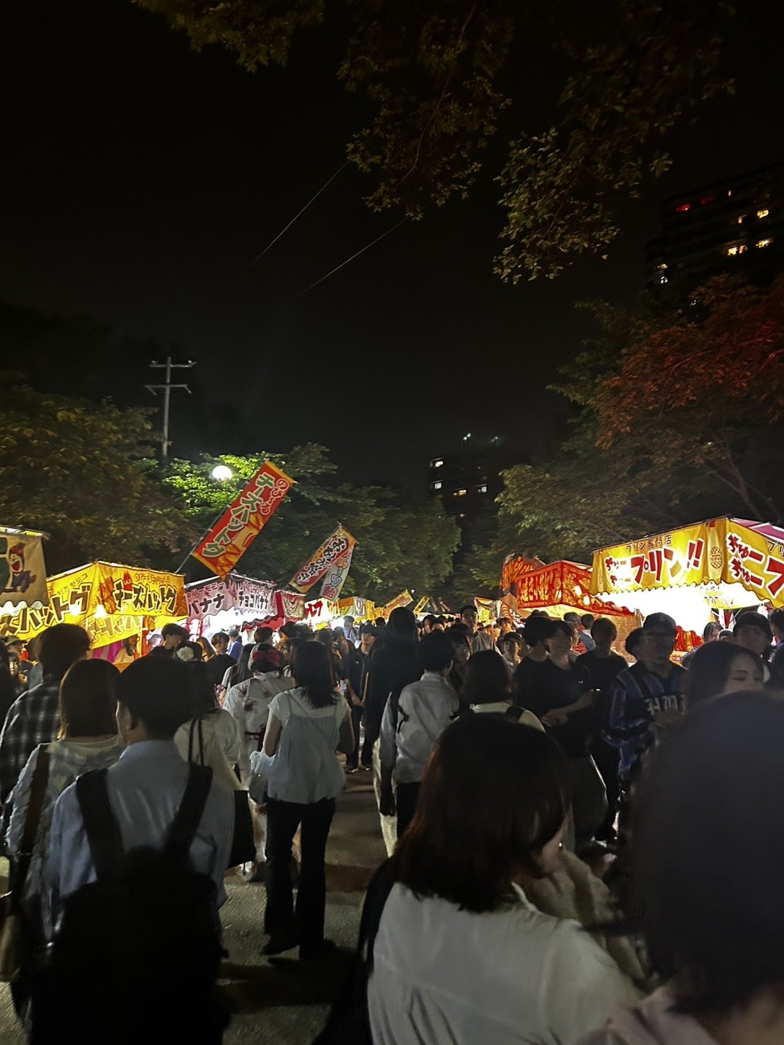 札幌まつり・中島公園は子連れで楽しめる？地元ママが見たボート・お化け屋敷・屋台のリアル